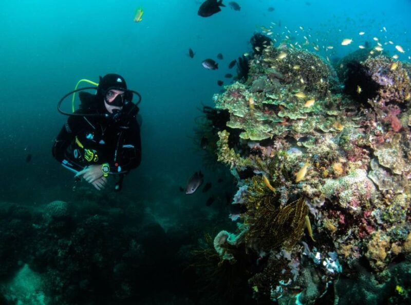 Scuba Diving in Boracay: SSI Open Water Certification - Key Points