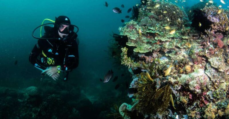 Scuba Diving in Boracay: SSI Open Water Certification - Prerequisites and Eligibility
