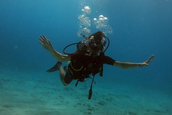 Scuba Diving in Cancun FREE Photos/Videos Beginners Welcomed! - Meeting and Activity Details