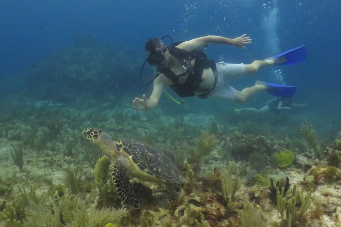 Scuba Diving in Cancun FREE Photos/Videos Beginners Welcomed! - Costs and Fees