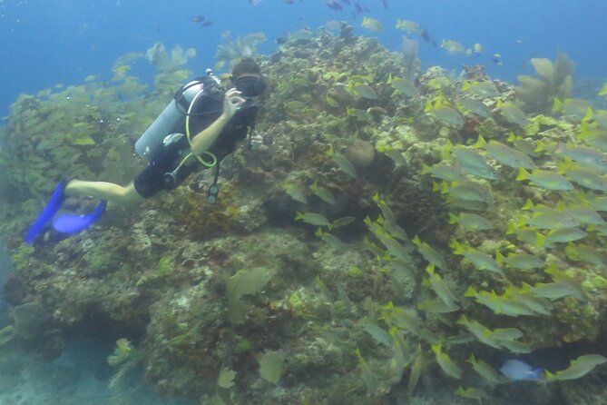 Scuba Diving in Cancun FREE Photos/Videos Beginners Welcomed! - Health and Safety Requirements
