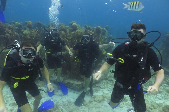 Scuba Diving in Cancun FREE Photos/Videos Beginners Welcomed! - Cancellation Policy