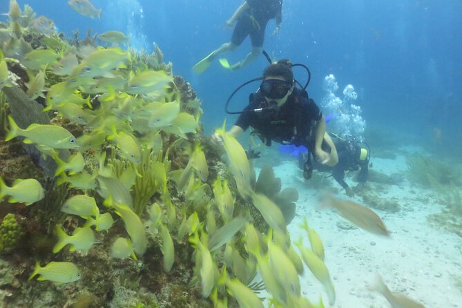 Scuba Diving in Cancun FREE Photos/Videos Beginners Welcomed! - About the Underwater Museum