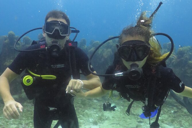 Scuba Diving in Cancun FREE Photos/Videos Beginners Welcomed! - Exploring the Meso-American Reef