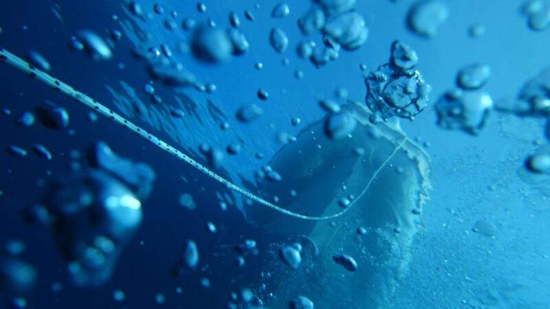 Scuba Diving in Capo Milazzo - Booking Information