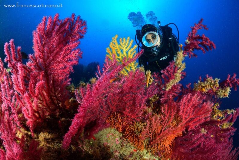 Scuba Diving in Capo Milazzo - Inclusions