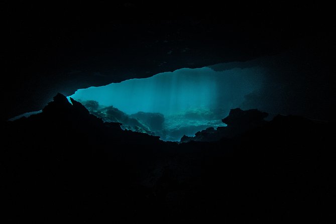 Scuba Diving in Cenotes - Highlights of the Excursion