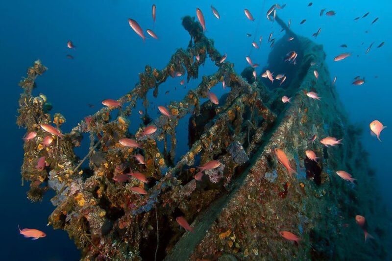 Scuba Diving in Dubrovnik: 1 Dive for Certified Divers - Good To Know