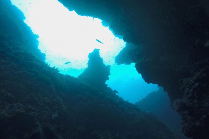 Scuba Diving in Dubrovnik: 1 Dive for Certified Divers - Diving Sites and Highlights