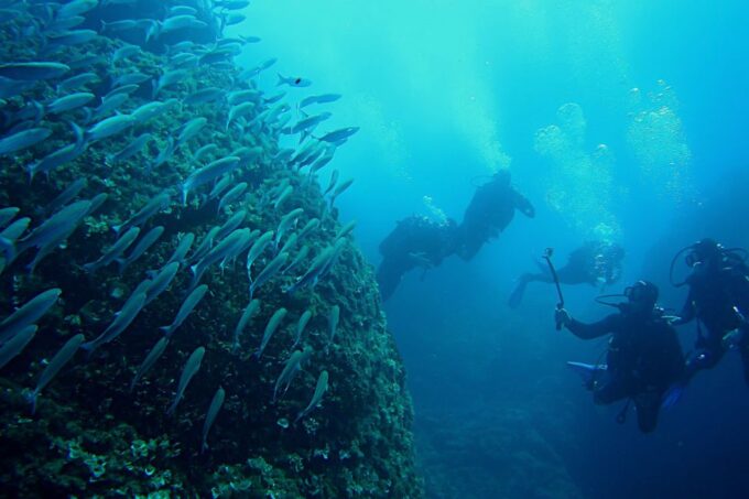 Scuba Diving in Dubrovnik: 1 Dive for Certified Divers - Frequently Asked Questions