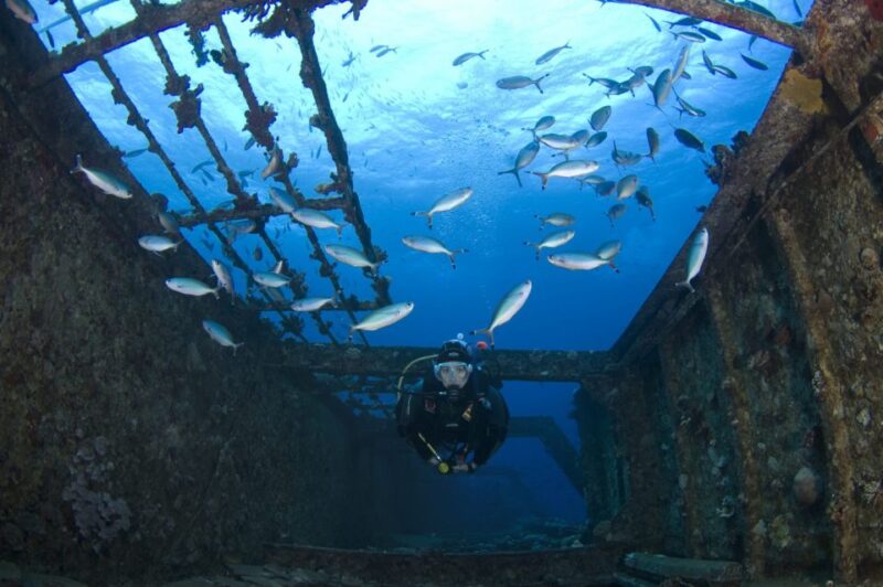 Scuba Diving in Hikkaduwa - Participant Restrictions and Feedback