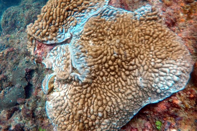 Scuba Diving in Kalpitiya - Meeting and End Point