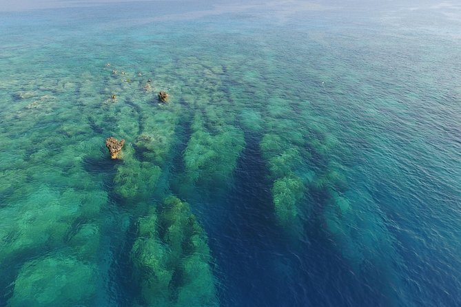 Scuba Diving in Kas for Certified Divers Incl. All Equipments - Meeting Points and Transportation Options