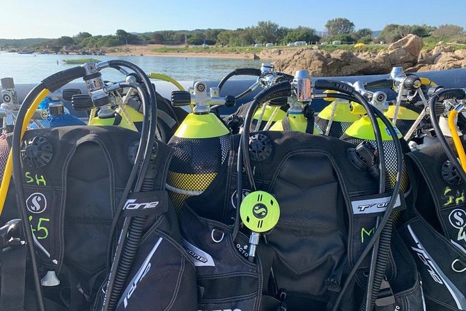Scuba Diving in La Maddalena and Lavezzi Marine Protected Areas. - Exploring La Maddalena and Lavezzi