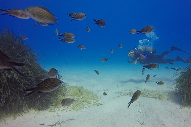 Scuba Diving in MIG-21 Wreck - Exploring the MIG-21 Wreck