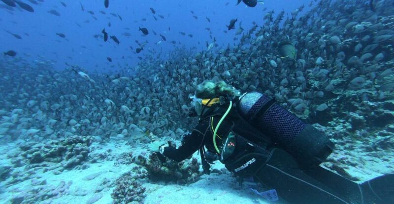 Scuba Diving in Negombo - Key Points