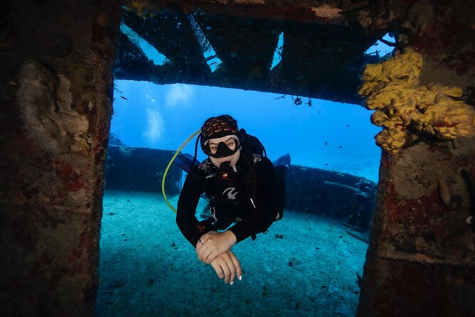 Scuba Diving in Playa Del Carmen for Small Groups - Key Points