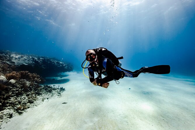 Scuba Diving in Playa Del Carmen for Small Groups - Whats Included in the Experience