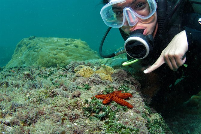 Scuba Diving in Rio De Janeiro - Overview and Recommendations
