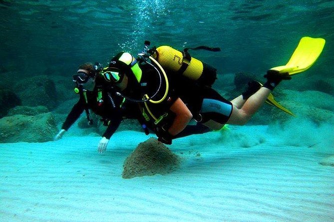 Scuba Diving in Rosario Islands - Important Safety Considerations