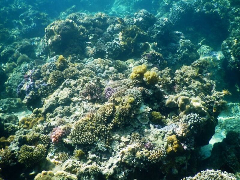 Scuba Diving - In The North of Phu Quoc - On-Board Amenities