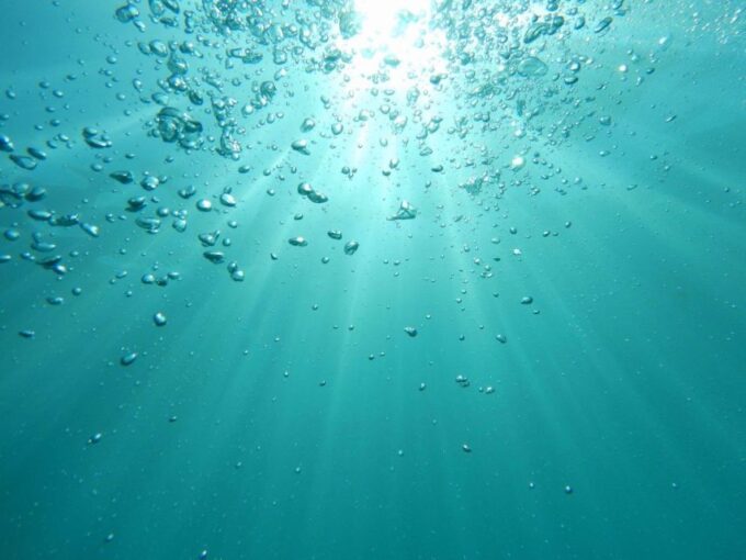 Scuba Diving - In The North of Phu Quoc - Important Considerations