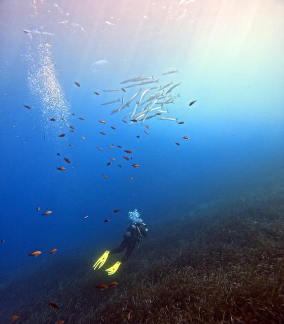 Scuba Diving in the Volcanic Caldera/shorelines of Santorini - Marine Life Encounters