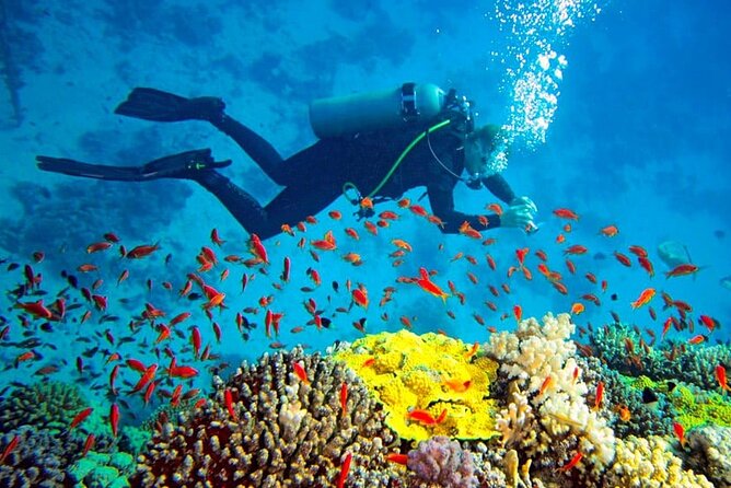 Scuba Diving in Trincomalee - Good To Know