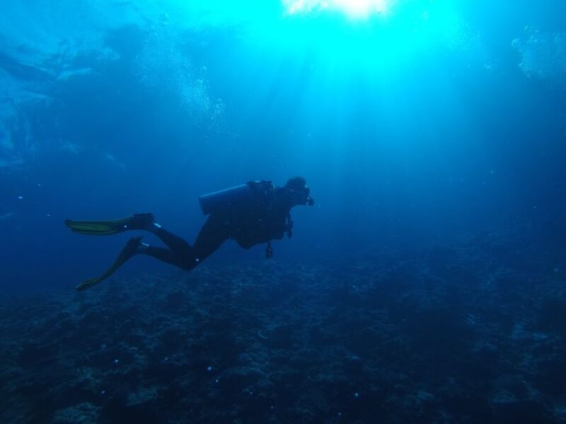 Scuba Diving in Trincomalee - Key Points