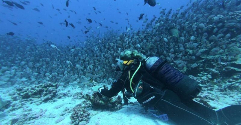 Scuba Diving in Trincomalee - Underwater Attractions for Divers