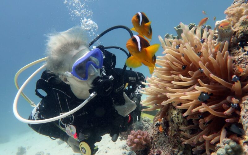 Scuba Diving in Trincomalee - Participant Requirements and Considerations