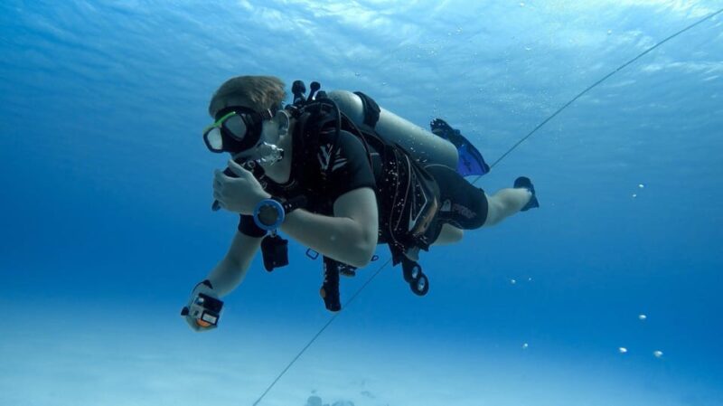 Scuba Diving Or Snorkeling Catalina Island From Punta Cana - Key Points