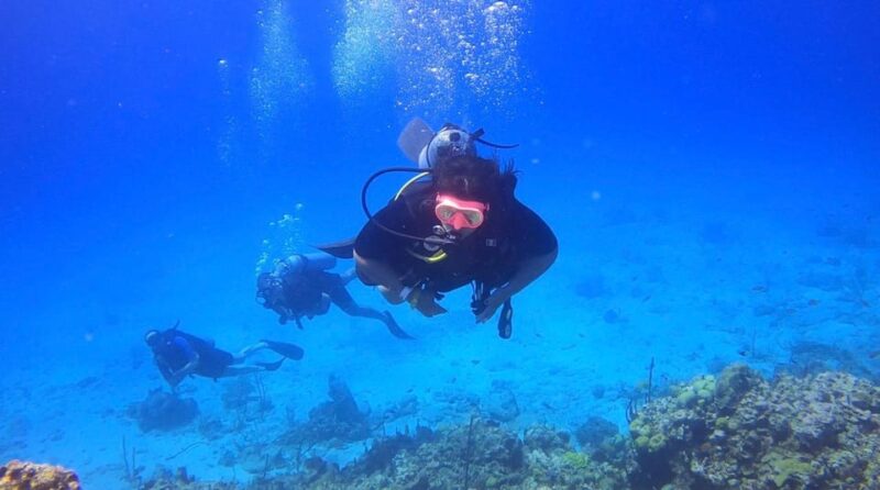 Scuba Diving Or Snorkeling Catalina Island From Punta Cana - Diving Experience