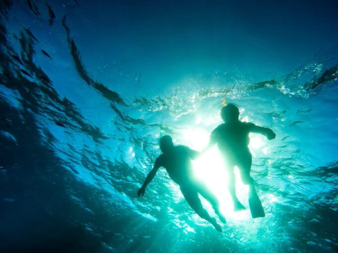 Scuba Diving Or Snorkeling Catalina Island From Punta Cana - Certification Requirements
