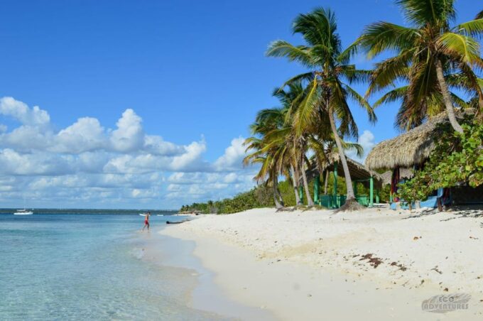 Scuba Diving Or Snorkeling Catalina Island From Punta Cana - Health and Safety Considerations