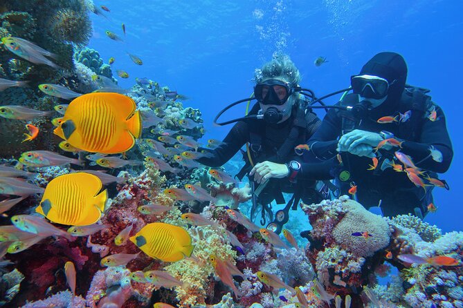 Scuba Diving Private Tour in Martinique - Meeting and Pickup