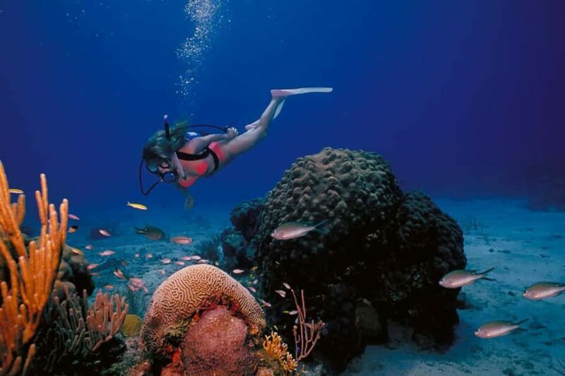 Scuba Diving Refresher(3 dives) - Key Points
