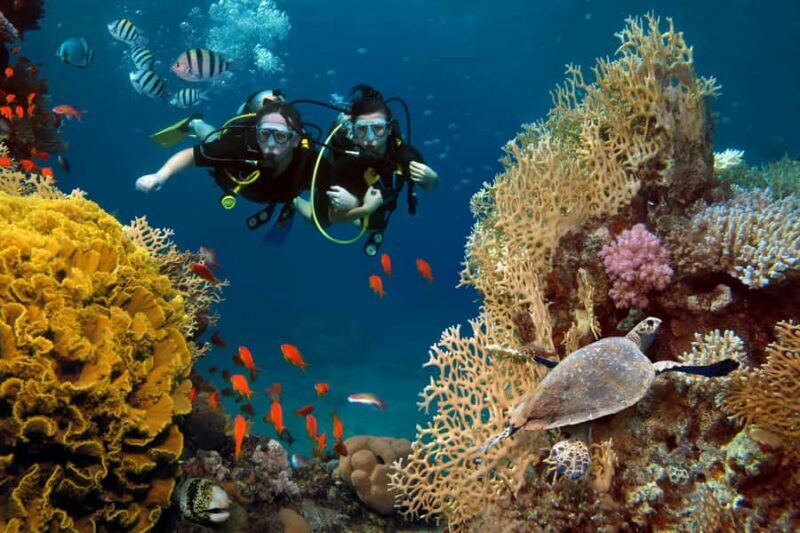 Scuba Diving Refresher(3 dives) - The Value of This Experience