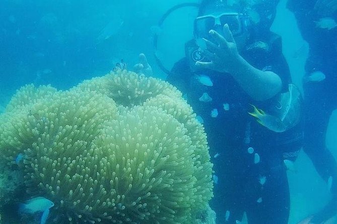 Scuba Diving (shore Dive) at Havelock Islands - Briefing and Training Session