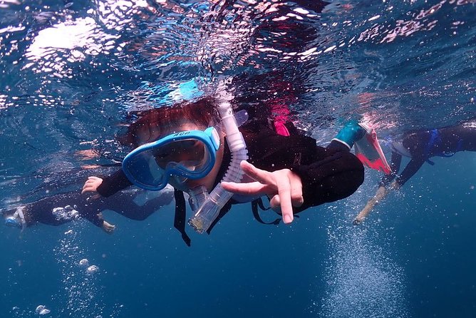 Scuba Diving & Snorkeling - Scuba Diving and Snorkeling Activity
