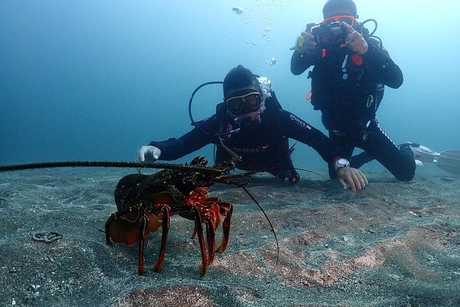 Scuba Diving & Snorkeling - Travelers With Health Concerns