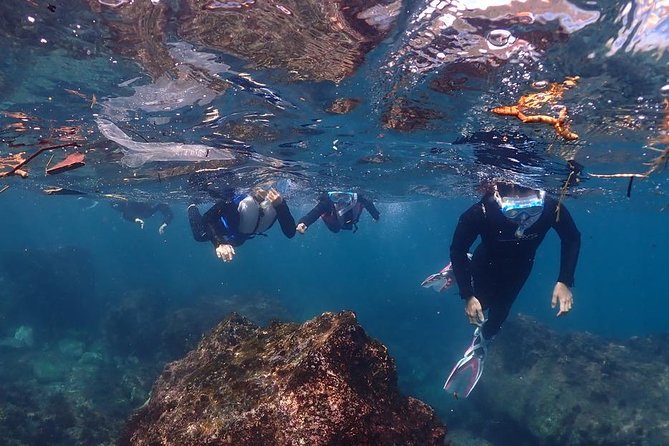 Scuba Diving & Snorkeling - Cancellation Policy Details