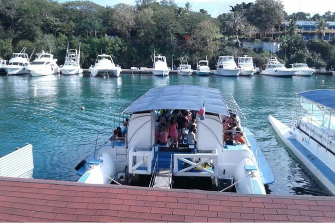 Scuba Diving & Snorkeling on Catalina Island | 2 Tanks, 2 Spots - Pricing and Cancellation Policy