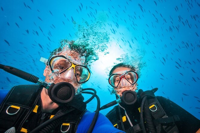 Scuba Diving to Dimaniyat Islands Muscat Oman - Pricing and Cancellation