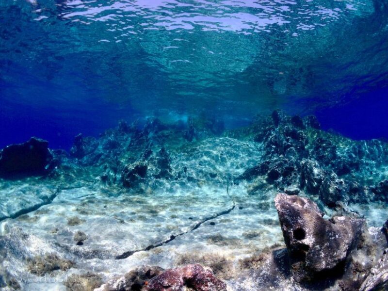 Scuba Diving to the Aeolian Islands From Milazzo - Key Points