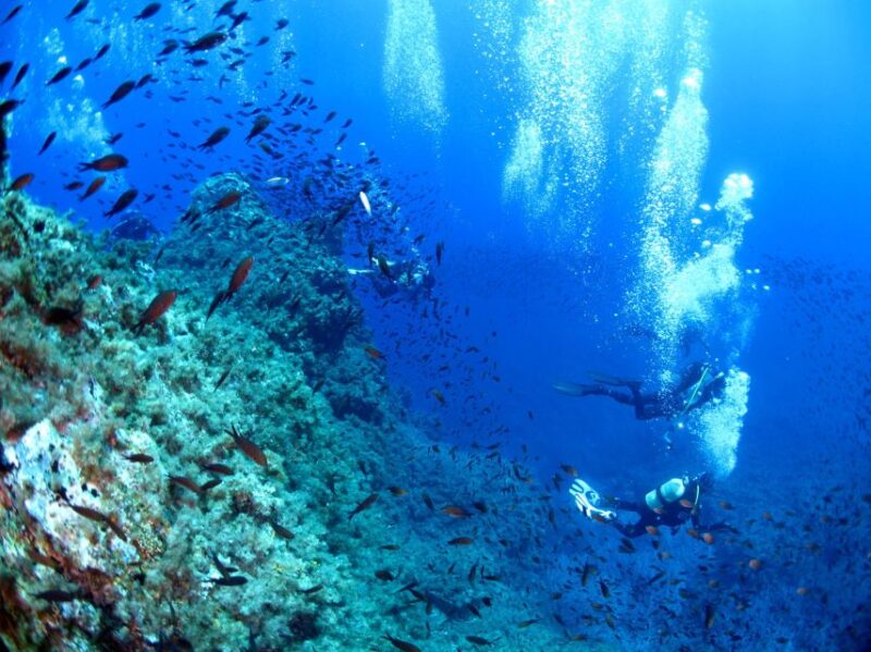 Scuba Diving to the Aeolian Islands From Milazzo - Exclusive Diving Experience