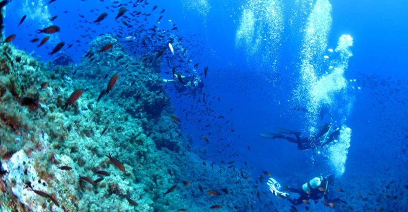 Scuba Diving to the Aeolian Islands From Milazzo - Exploring Lipari and Panarea