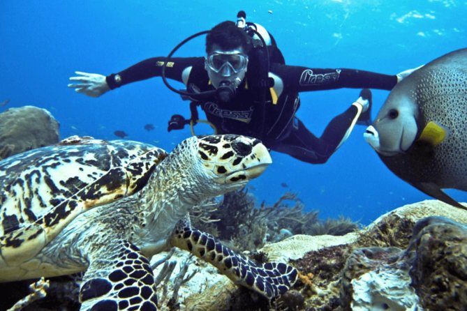 Scuba Diving Tour - Diving Activities