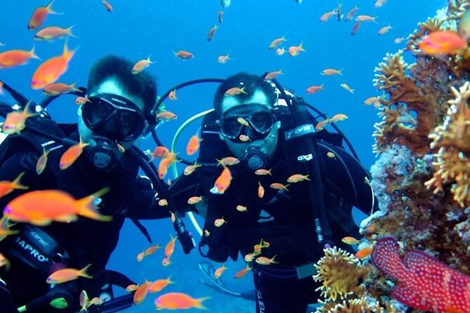 Scuba Diving Tour - Participant Requirements