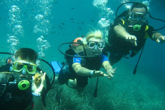 Scuba Diving Tour - Location and Accessibility